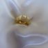 JENNY RING